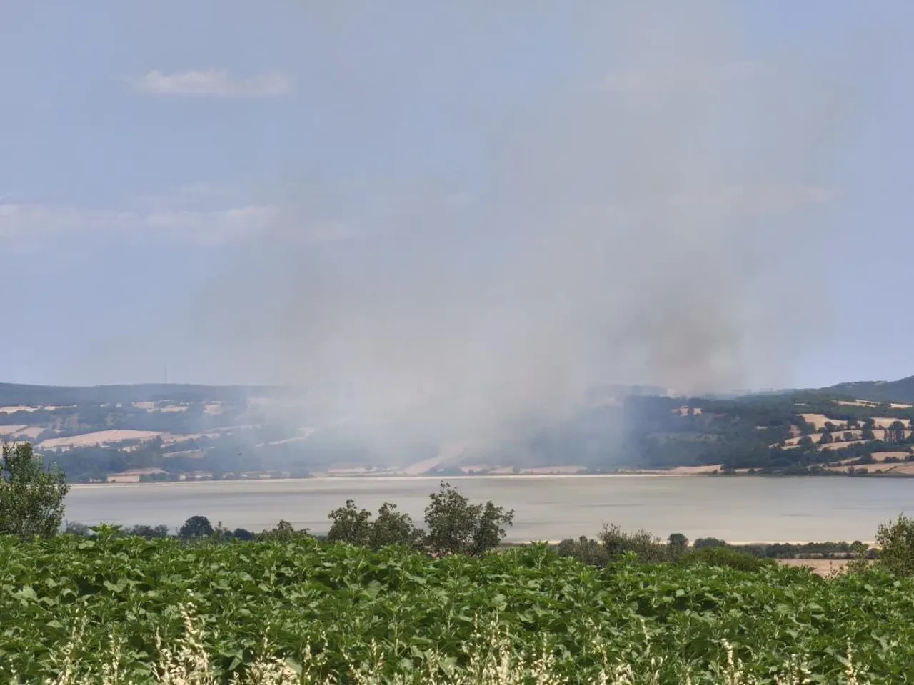 Aydın, Edirne ve Manisa'da orman yangını! Ekipler seferber oldu