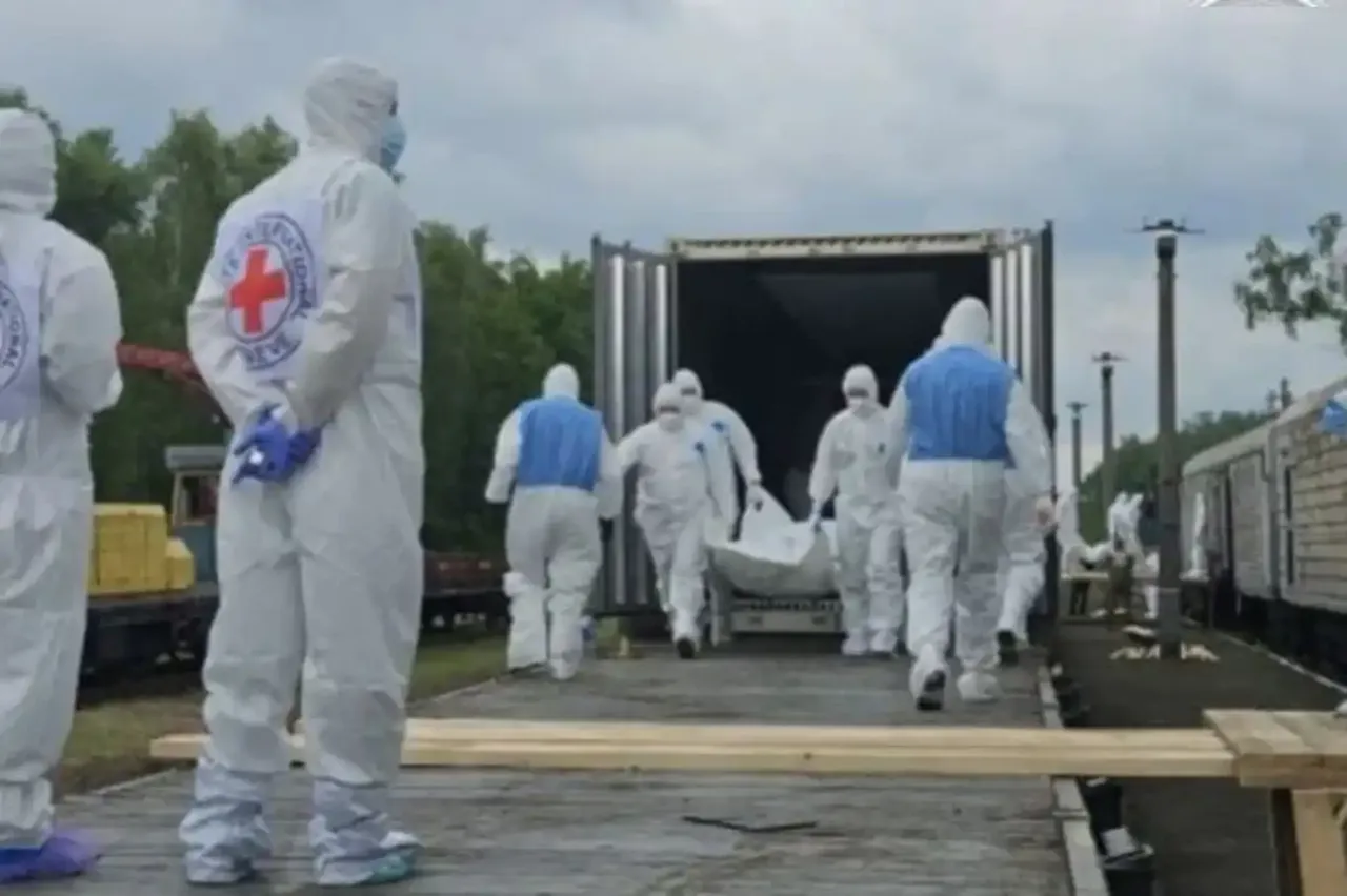 İstanbul'da anlaşan Rusya ve Ukrayna arasında yeni takas: Cenazeler teslim edildi