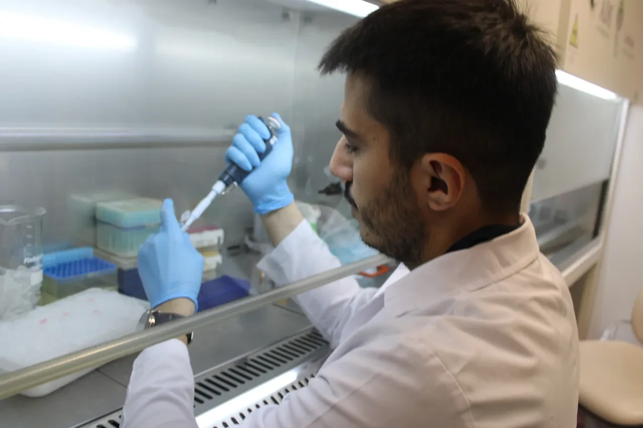 Kene kabusu bitiyor mu? KKKA aşısında sona doğru: İnsan üzerinde denenecek