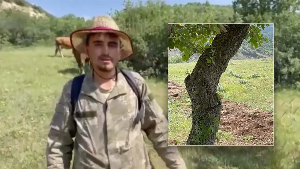 Soluklanmak için ağacın gölgesine oturdu, neye uğradığını şaşırdı