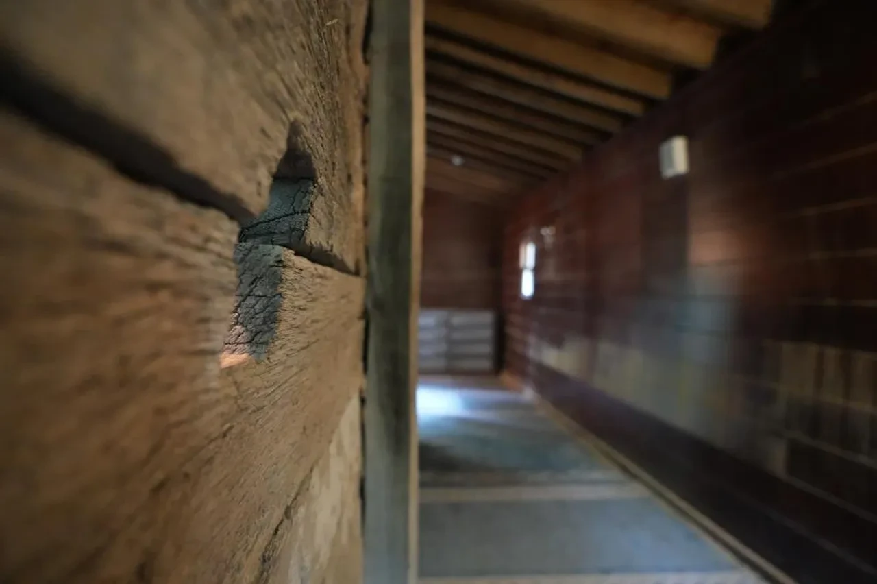 Tek bir çivi bile yok! Bu camide ustalık detaylarda gizli