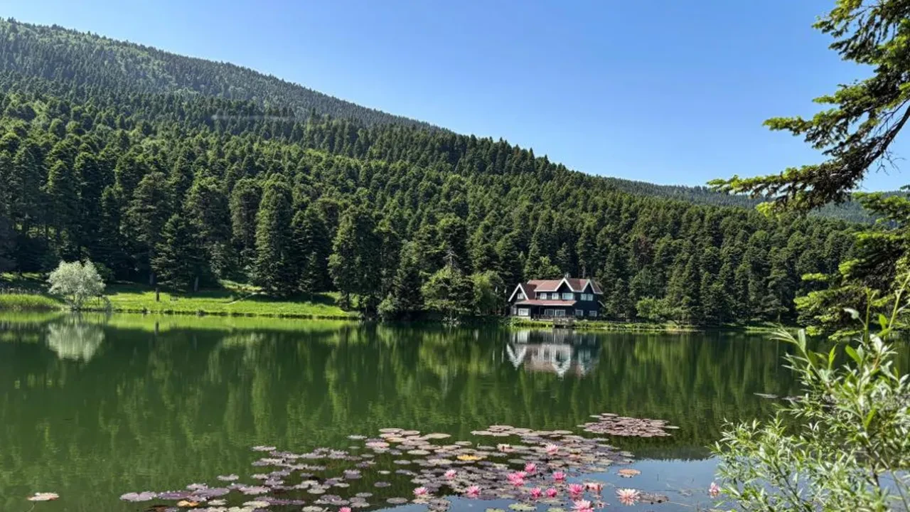 Bir ilimizde ormanlara giriş yasağı