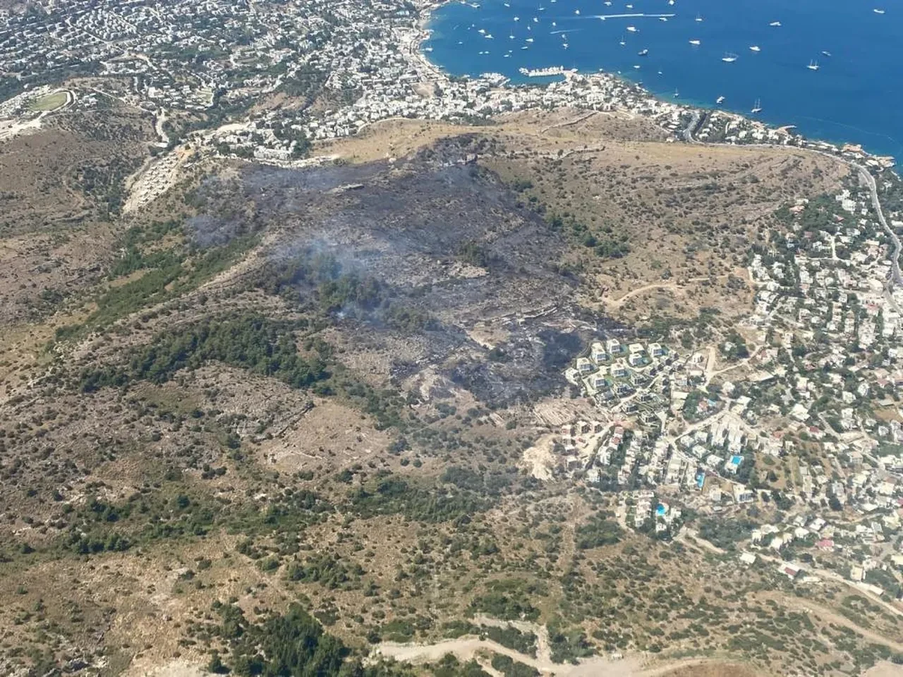 Bodrum Türkbükü’nde orman yangını! Gökyüzünü duman kapladı