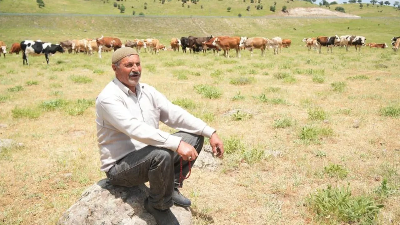 Çobanın istediği ücret köylüleri alarma geçirdi! Çözümü bakın nasıl buldular?