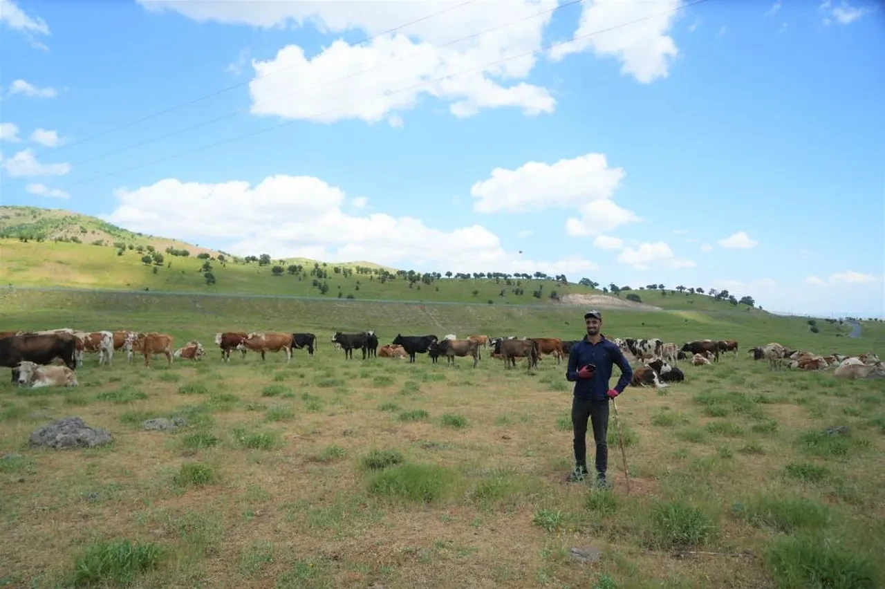Çobanın istediği ücret köylüleri alarma geçirdi! Çözümü bakın nasıl buldular?