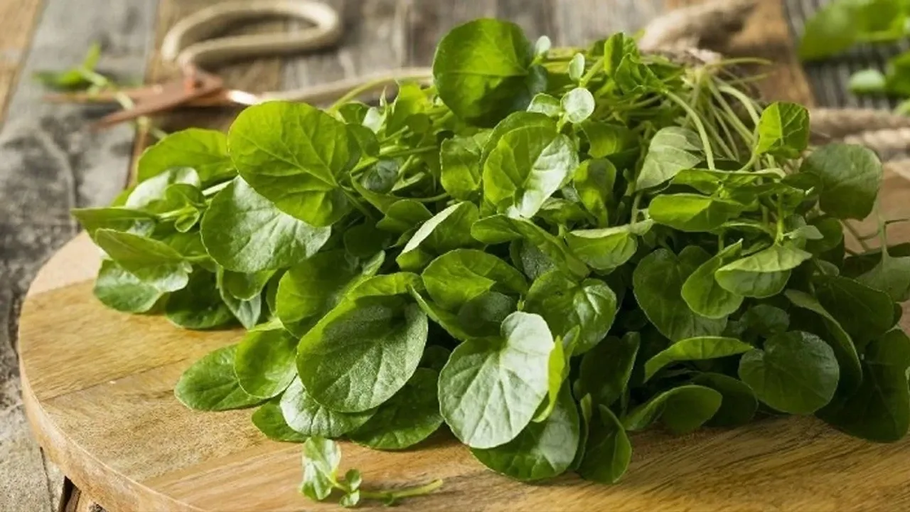 Dünyanın en faydalı sebzesi seçildi! İşte saymakla bitmeyen faydaları