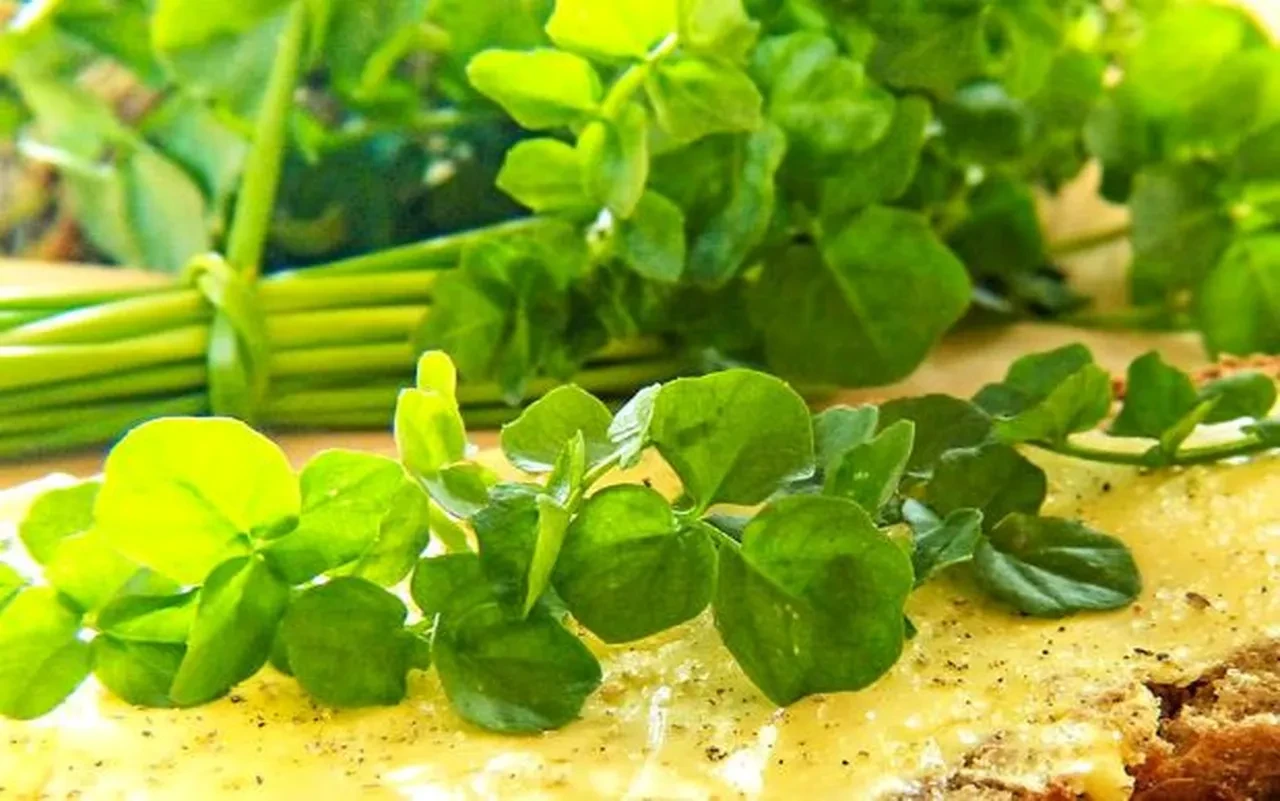 Dünyanın en faydalı sebzesi seçildi! İşte saymakla bitmeyen faydaları