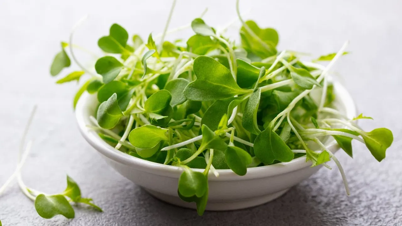 Dünyanın en faydalı sebzesi seçildi! İşte saymakla bitmeyen faydaları