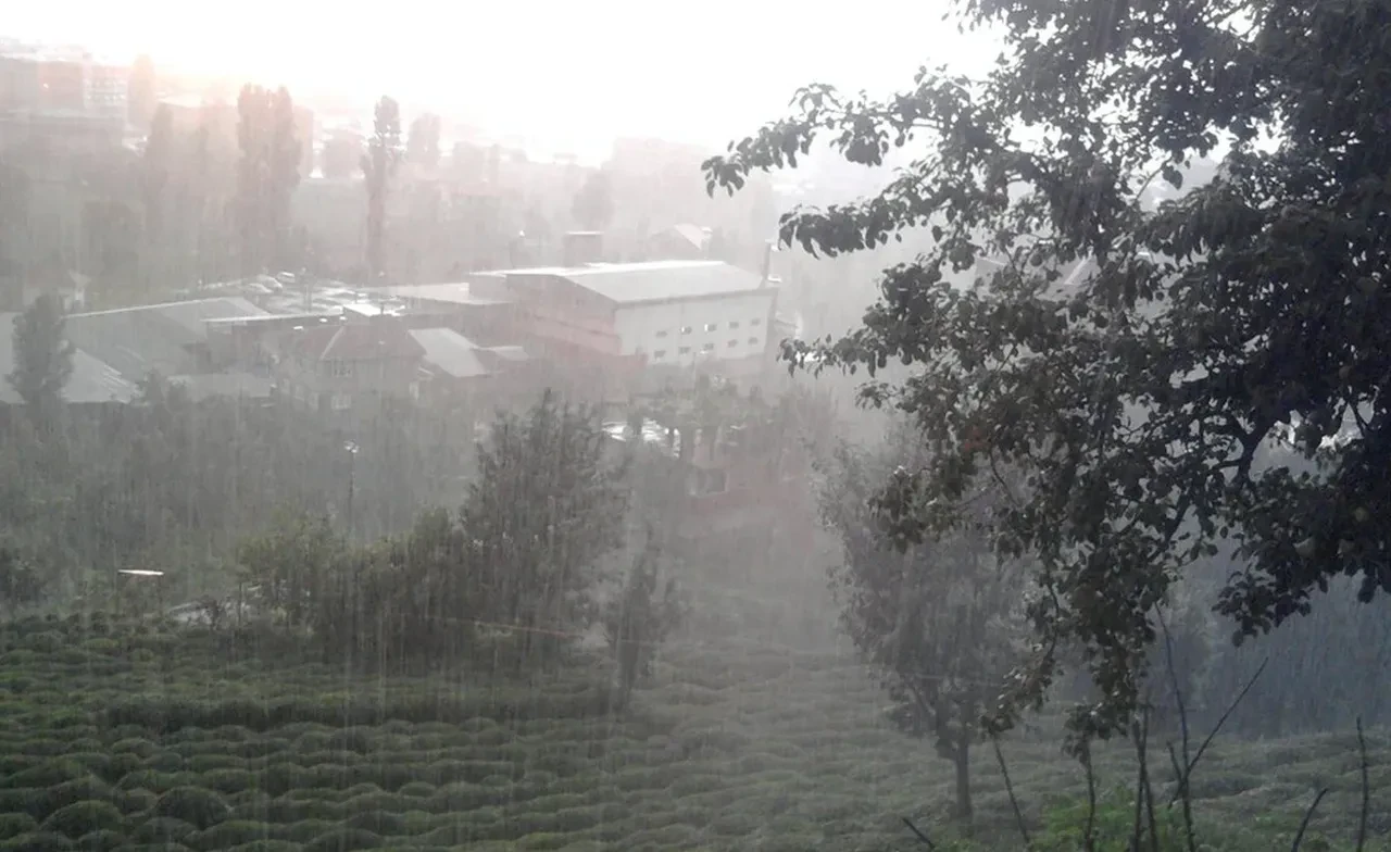 Hava durumu (16 Haziran) | Meteoroloji 26 il için uyardı! Kuvvetli yağış bekleniyor