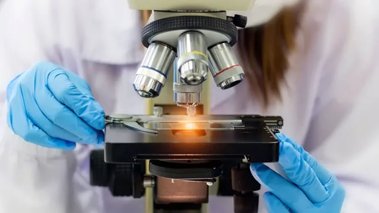 İnsan vücudunu içeriden çürüten mantar hızla yayılıyor