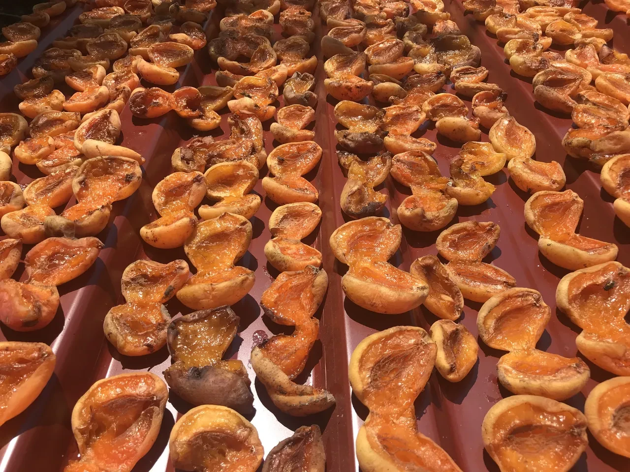 Kilosu bin lirayı aştı! Kuru kayısının fiyatı uçtu: 4 kilosu 1 gram altın ediyor