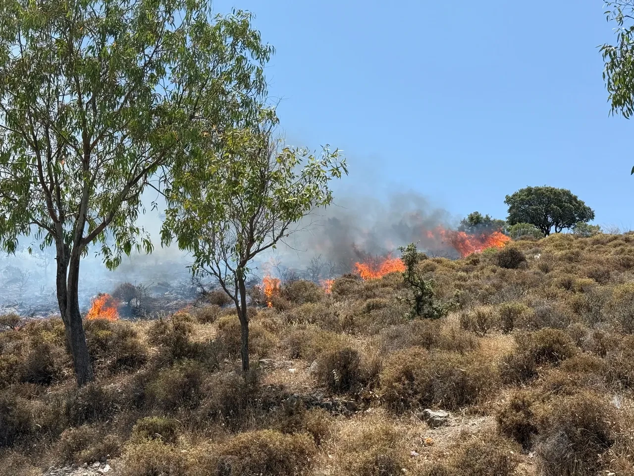 Bodrum Türkbükü’nde orman yangını! Gökyüzünü duman kapladı