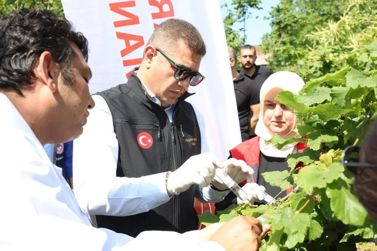 Samuray arıları doğaya salındı! Biyolojik mücadele büyük öneme sahip