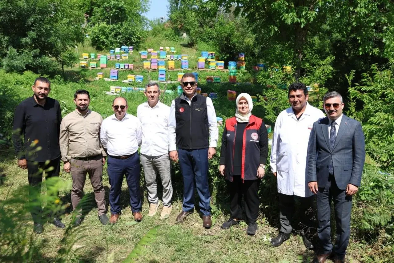 Samuray arıları doğaya salındı! Biyolojik mücadele büyük öneme sahip