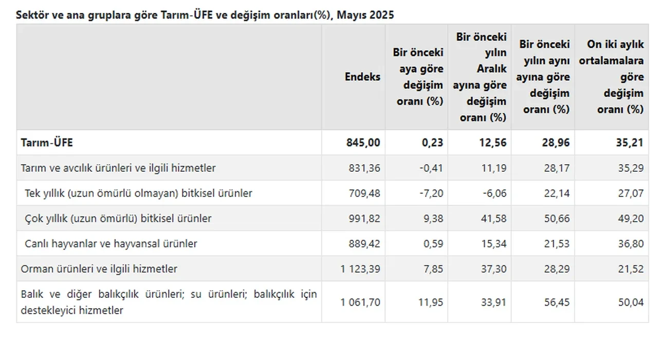 TÜİK açıkladı: Çiftçinin enflasyonu mayısta yükseldi!