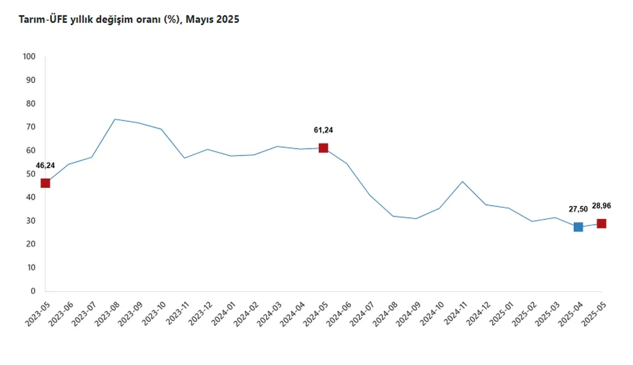 TÜİK açıkladı: Çiftçinin enflasyonu mayısta yükseldi!