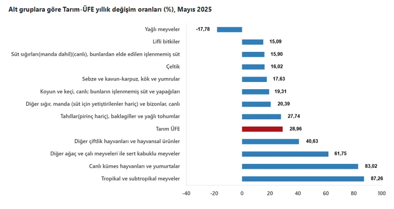 TÜİK açıkladı: Çiftçinin enflasyonu mayısta yükseldi!