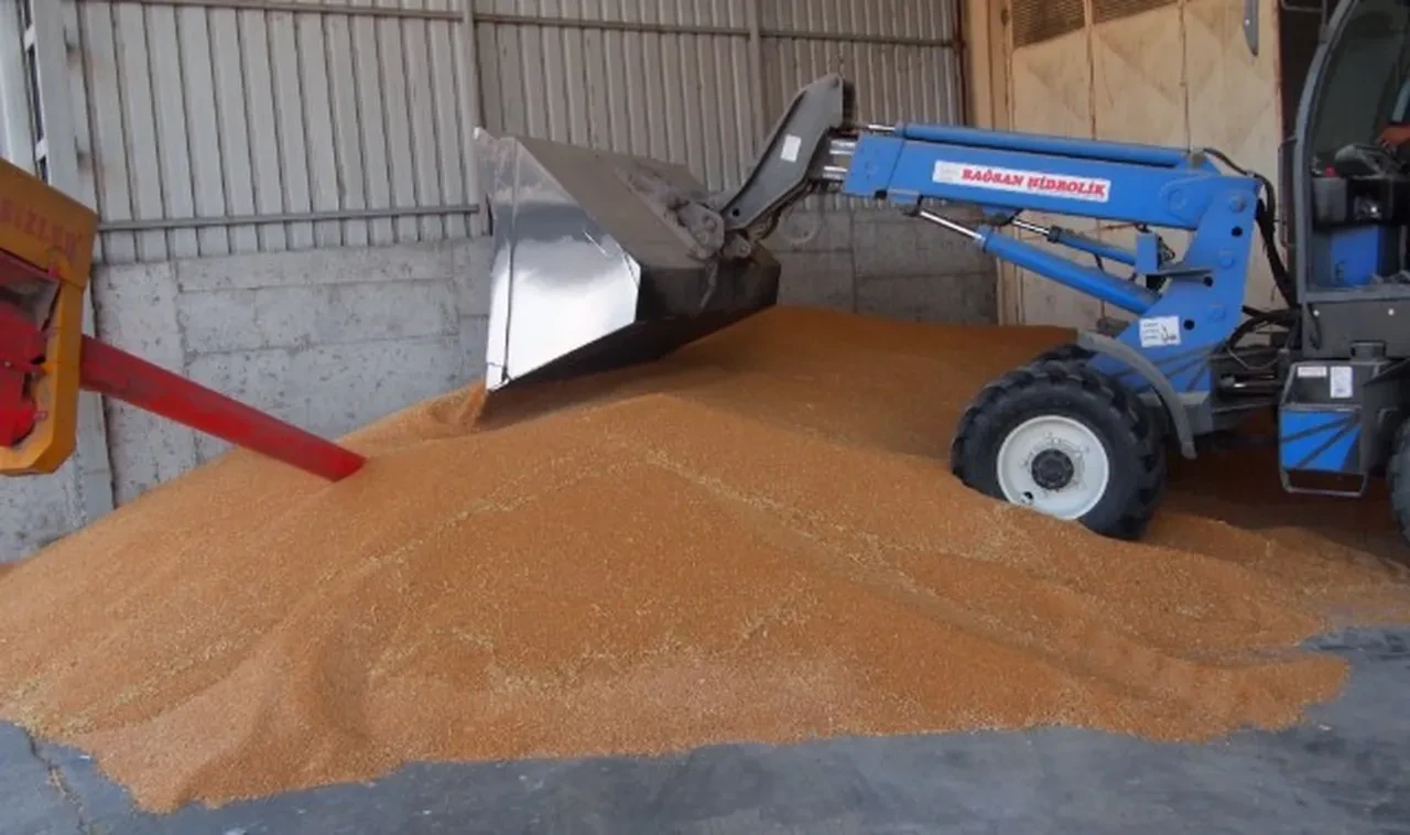 2025 TMO ürün alım randevu sistemi randevu alma! TMO randevu saatleri araştırılıyor