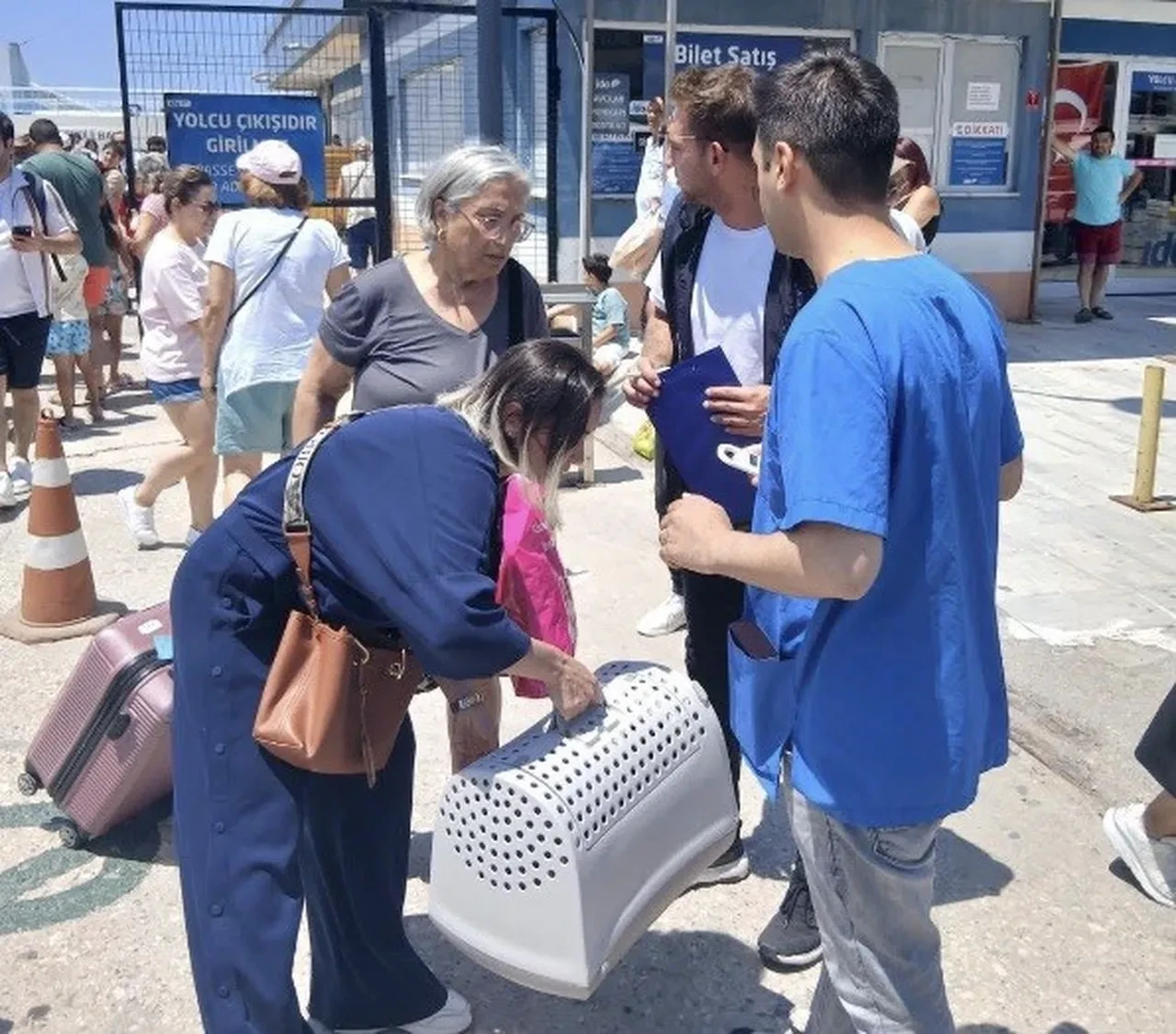 Adalara kimliksiz hayvan girişi yasaklandı mı? Yasak hangi adalarda geçerli?