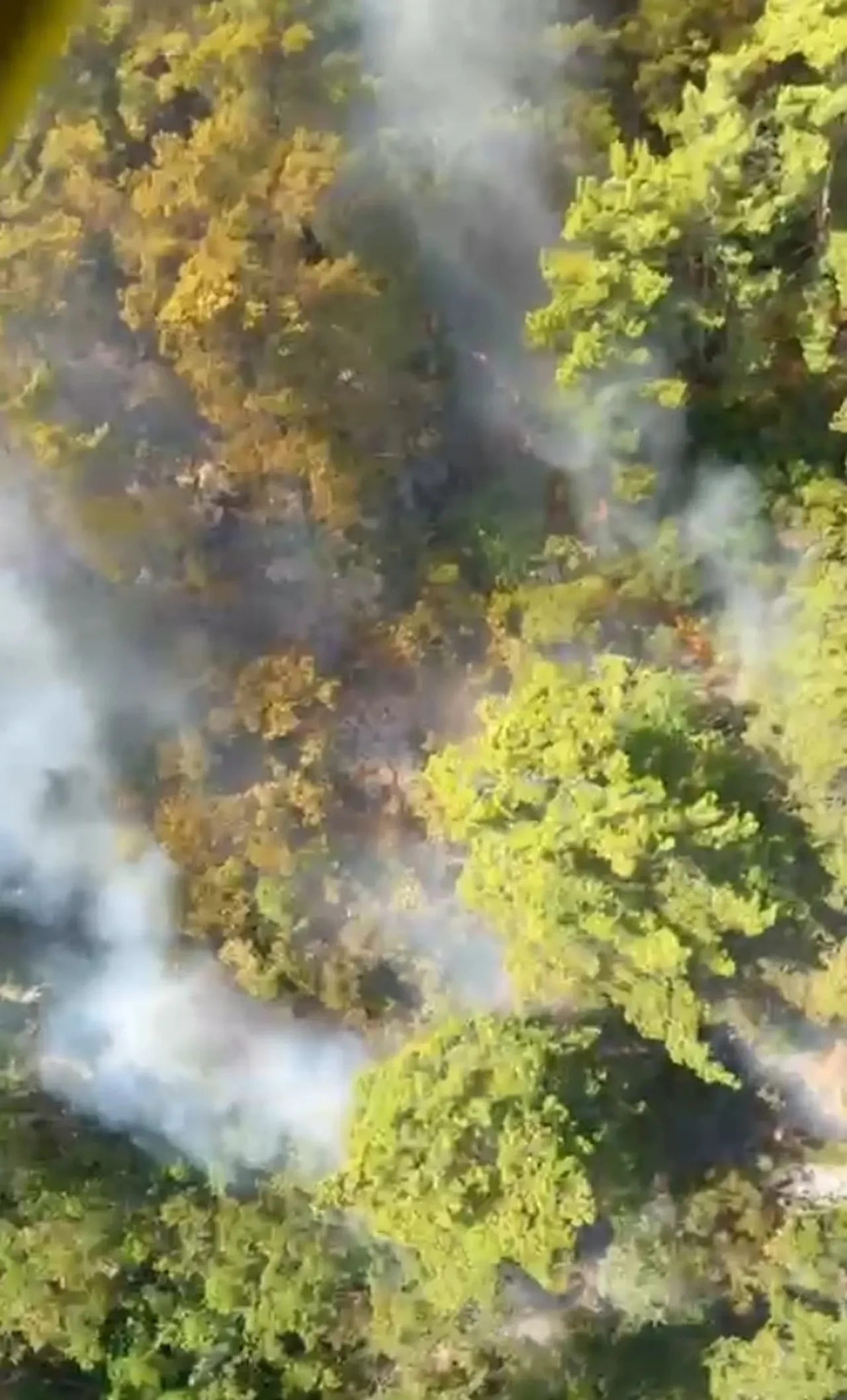 Antalya'da orman yangını! Havadan ve karadan müdahale sürüyor