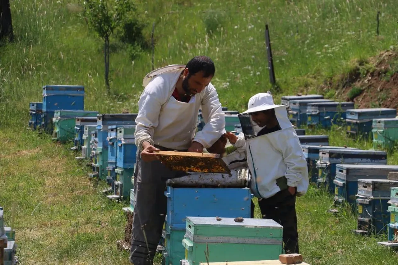 Önceden çöpe atılıyordu, şimdi altın değerinde! Şifa deposu bir besin 