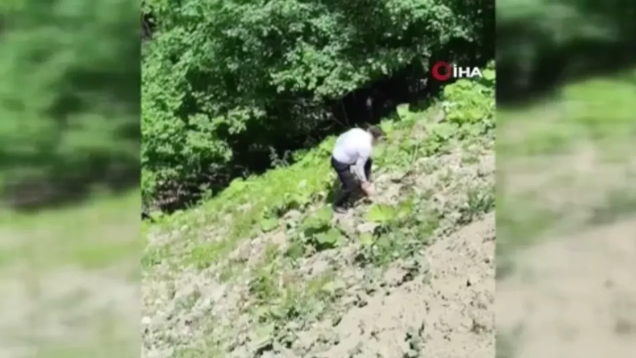 Otomobil 80 metre şarampole yuvarlandı: 3 yaralı