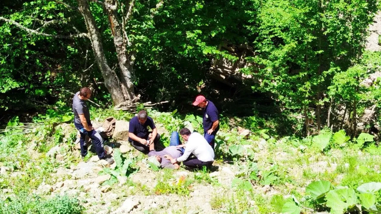 Zonguldak'ta feci kaza! 80 metreden şarampole uçtu