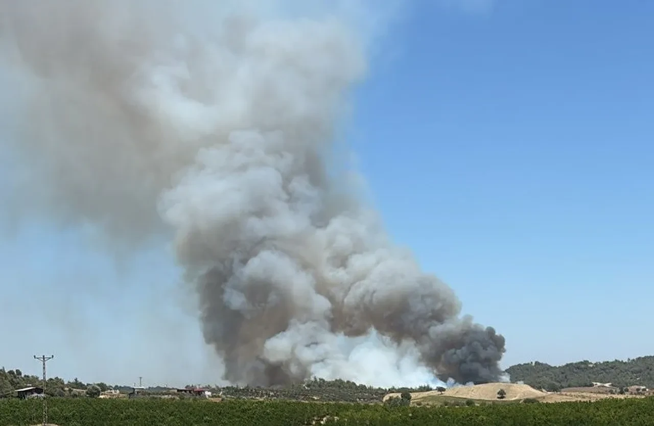 Adana'da orman yangını kontrol altında! Gözaltılar var