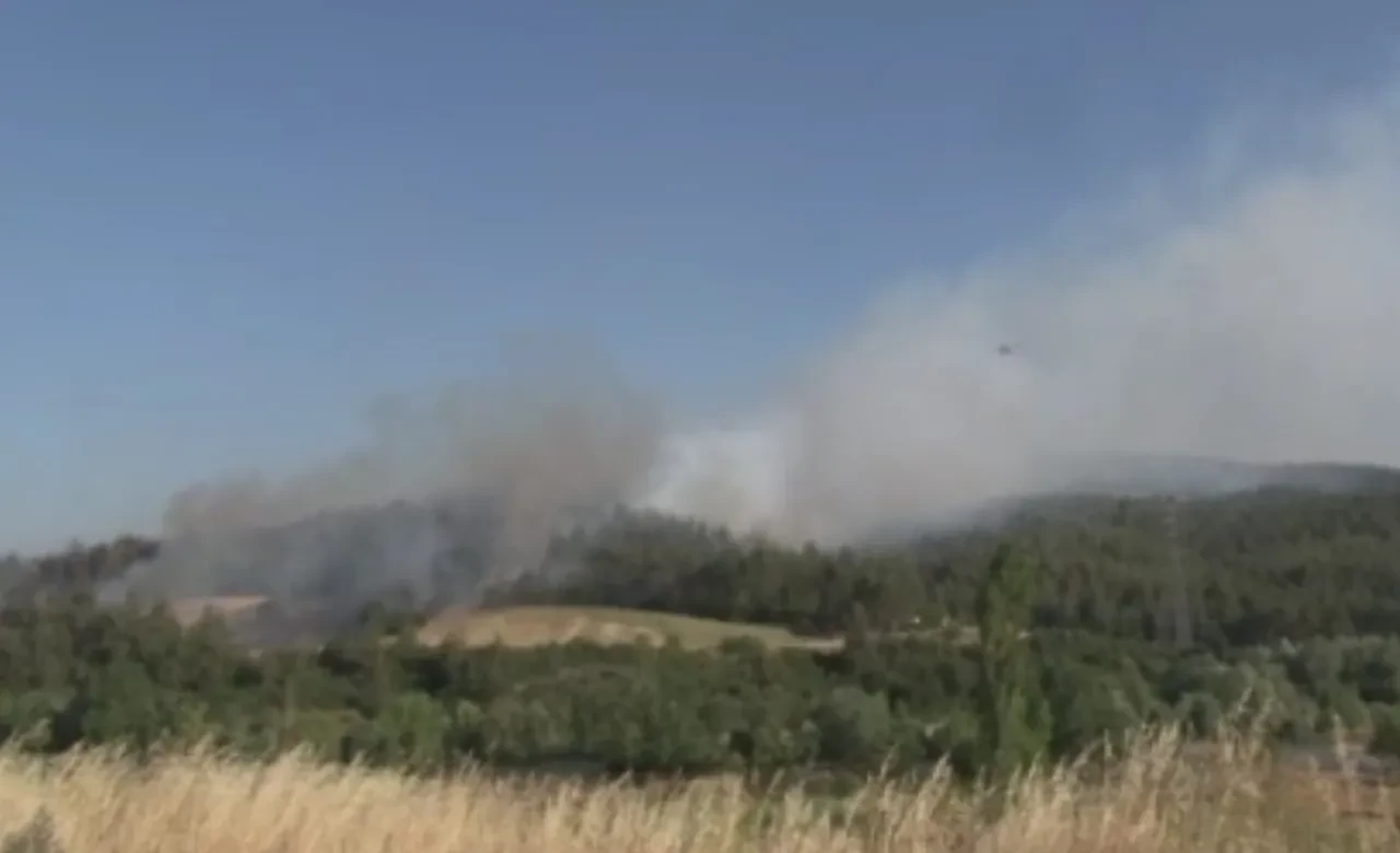 Bursa'daki yangın yeşili griye döndürdü