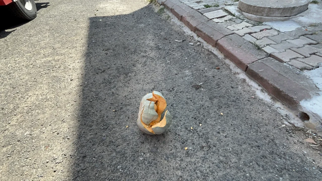 Eşini evden atıp, 4 aylık bebeğini rehin aldı! Yürekleri ağza getiren olay 
