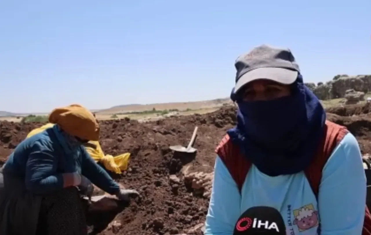 Evde pirinç, arkeolojik kazılarda tarih ayıklıyorlar! Kadınların zorlu mesaisi