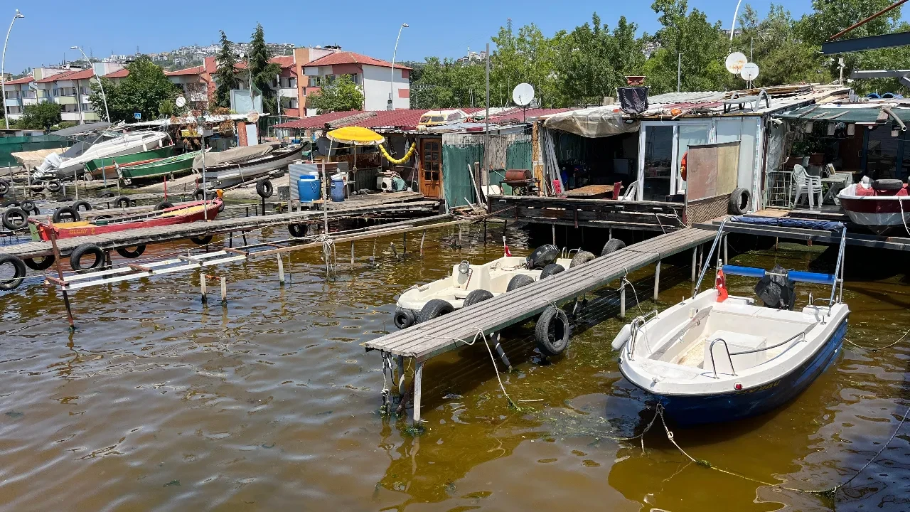 İzmit Körfezi'nde endişe verici görüntü! 