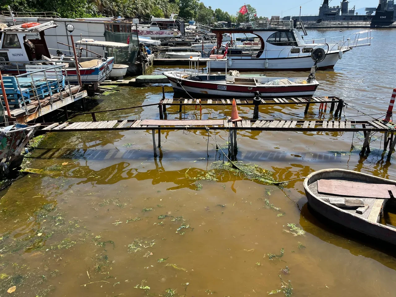 İzmit Körfezi'nde endişe verici görüntü!