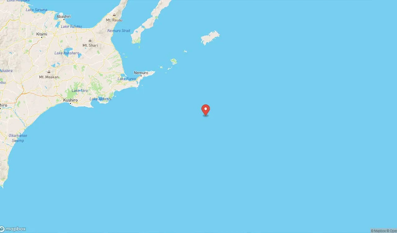 Japonya 6,1'lik depremle sarsıldı: Sığ derinlikte meydana geldi