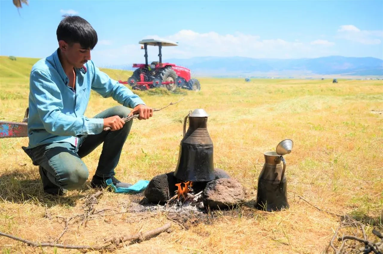 Muşlu çiftçiler yaz sıcağında kışlık yem mesaisinde