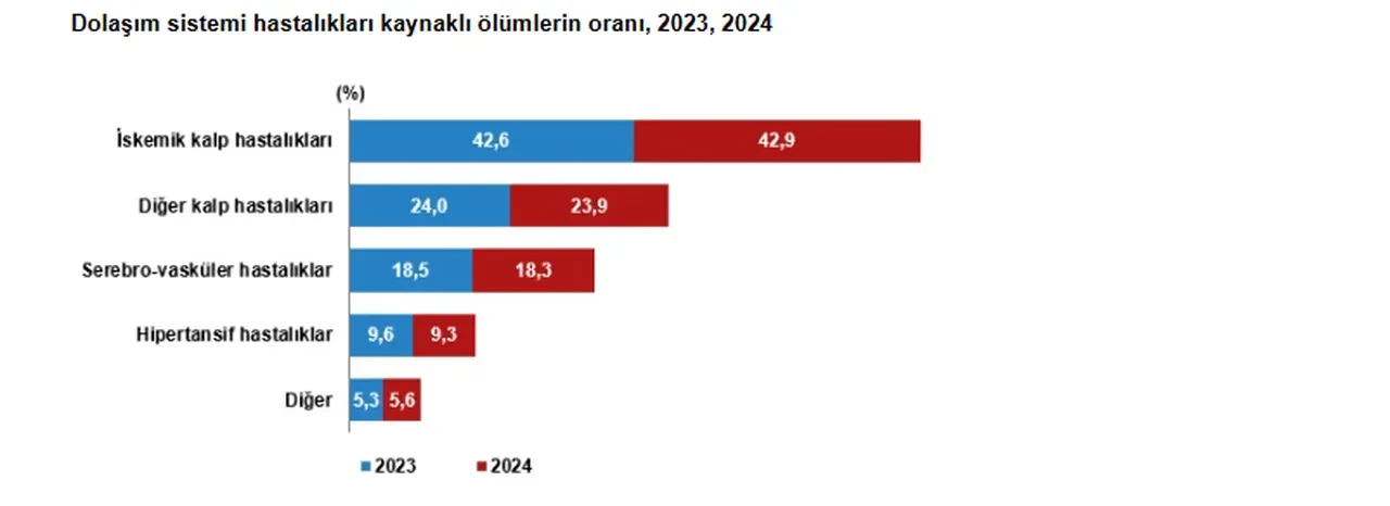 TÜİK ölüm verileri yayımlandı: En çok ölüm bu şehirde!