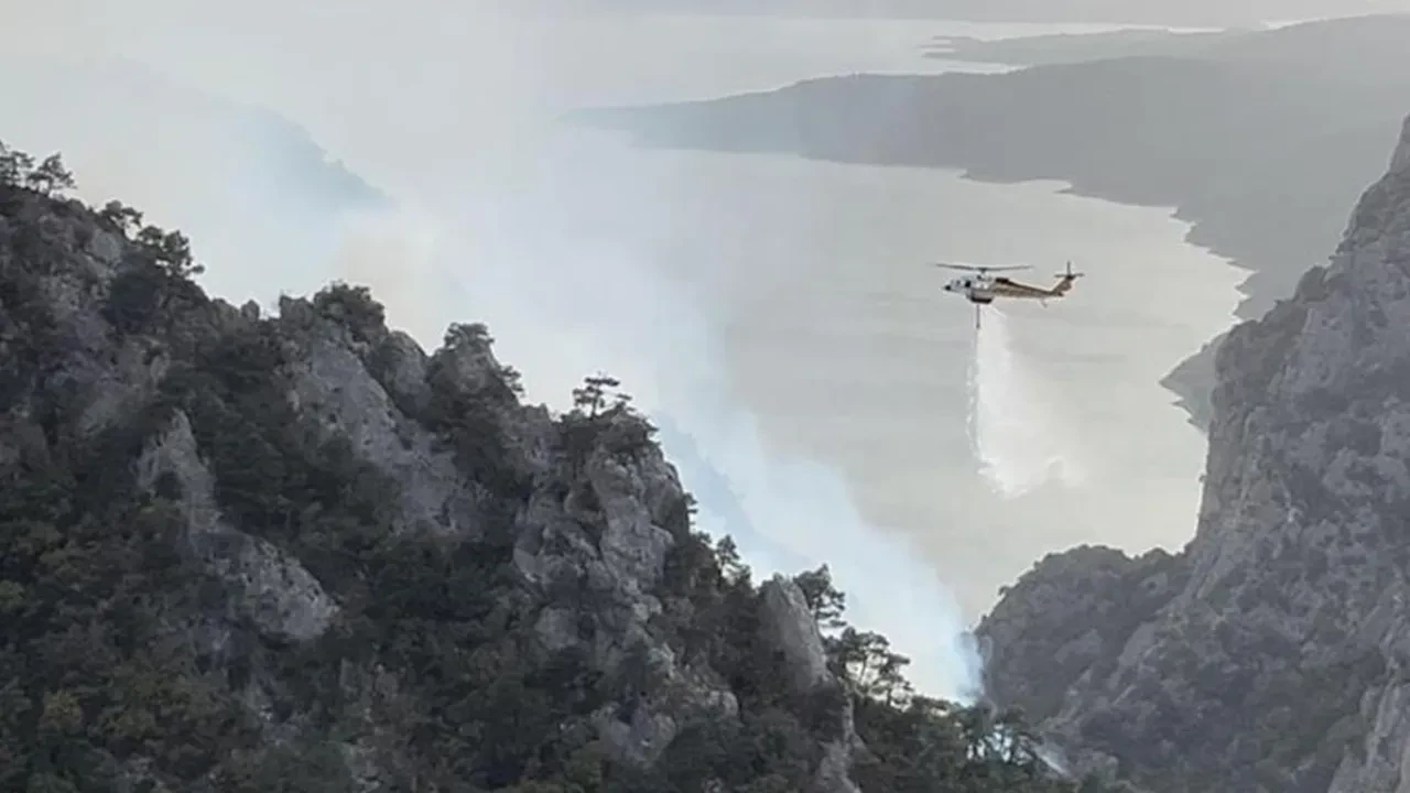 Valilik duyurdu! Bir ilde daha ormana girişler yasaklandı