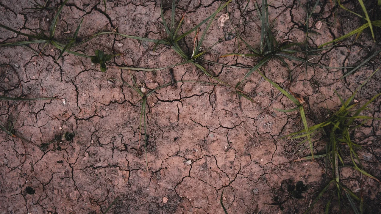 Bilim insanları gözlerine inanamadı! Bu ülke her yıl yükseliyor, toprak kabarıyor