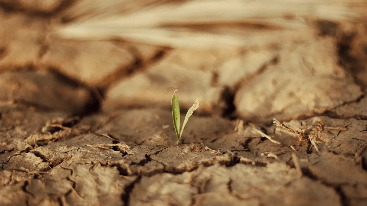 Bilim insanları gözlerine inanamadı! Bu ülke her yıl yükseliyor, toprak kabarıyor