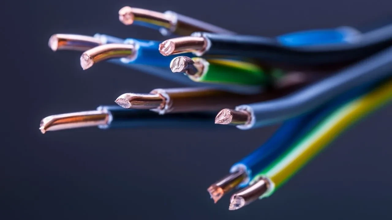 Dünyada elektrik olmasa ne olurdu? Ortaya çıkan senaryo dikkat çekti