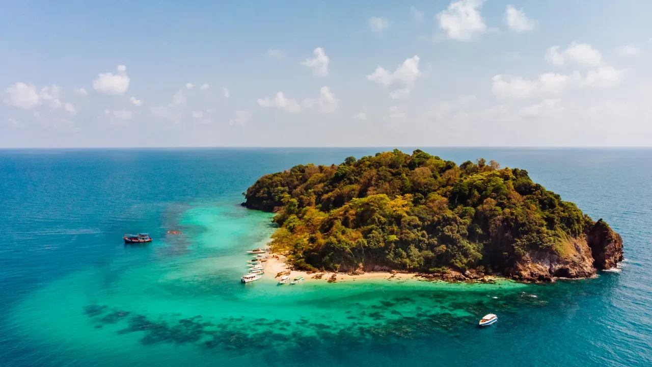 Dünyada sadece bu adada bulunuyor! Ölüm saçıyor, tanesi 30 bin dolardan satılıyor