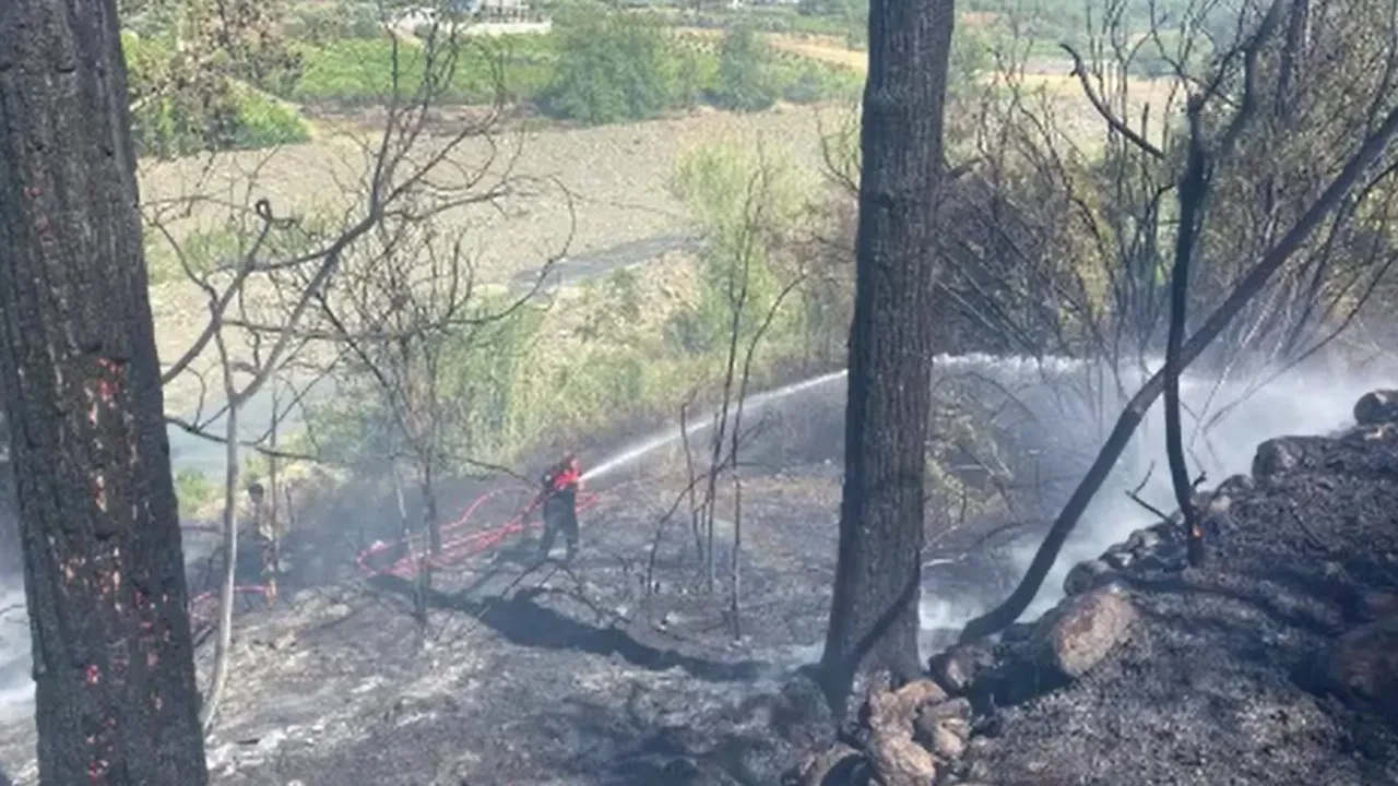 Hatay'da orman yangını