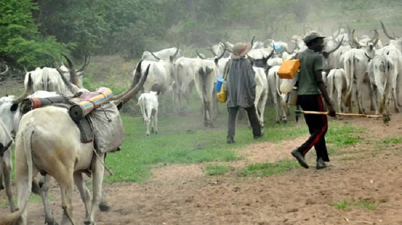 Kabile çobanları çiftçilere saldırdı, 43 kişi öldü! Nijerya'da bölge halkı tedirgin