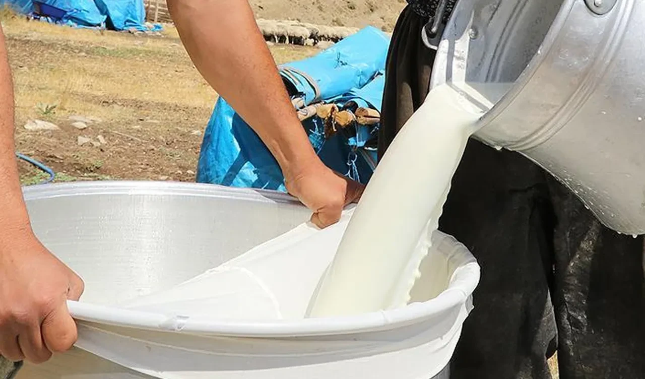 Sokakta açık olarak satılan sütlere dikkat! 100'e yakın hastalığa davetiye çıkarıyor