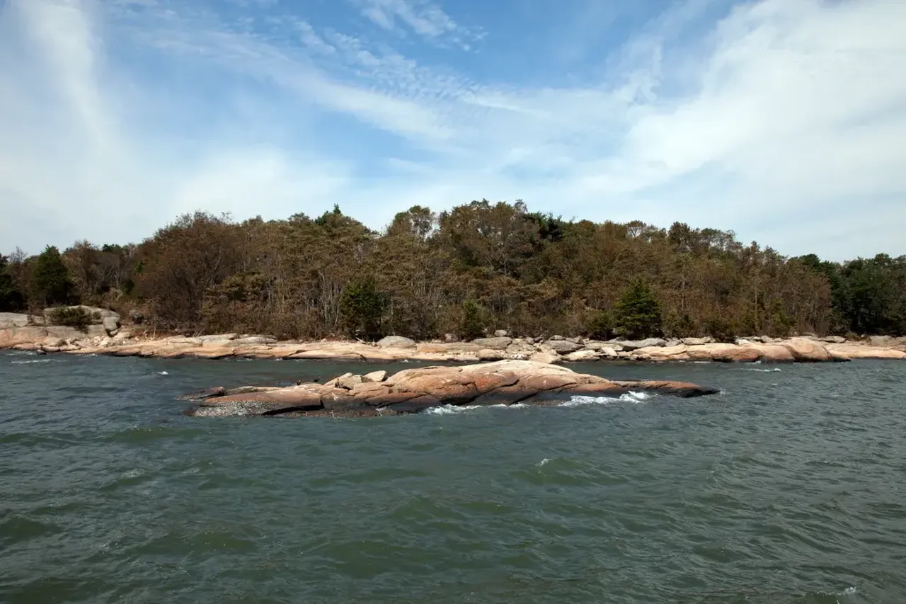 Uçak düşüp, suya battı: Her iki yolcu da inanılmaz şekilde kurtuldu