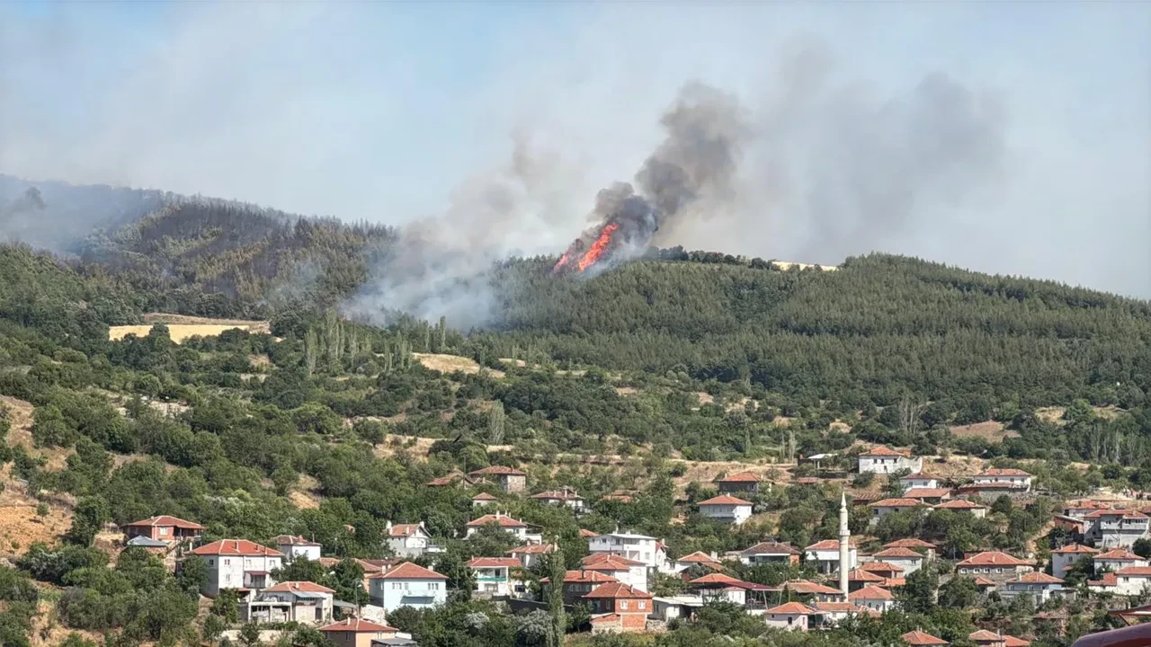 Balıkesir'deki orman yangınının sebebi belli oldu! 5 kişi gözaltında