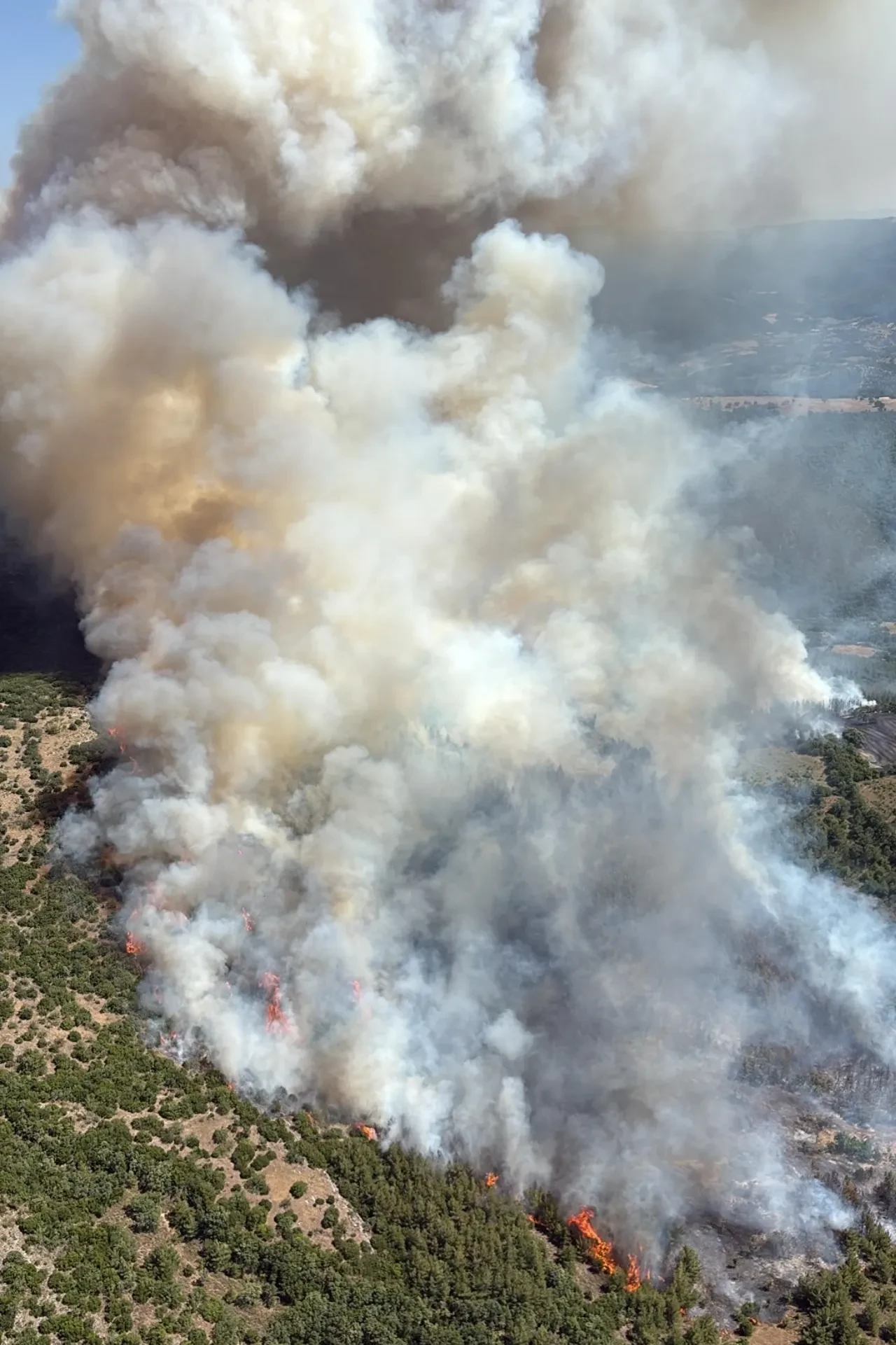 Balıkesir'deki orman yangınının sebebi belli oldu! 5 kişi gözaltında