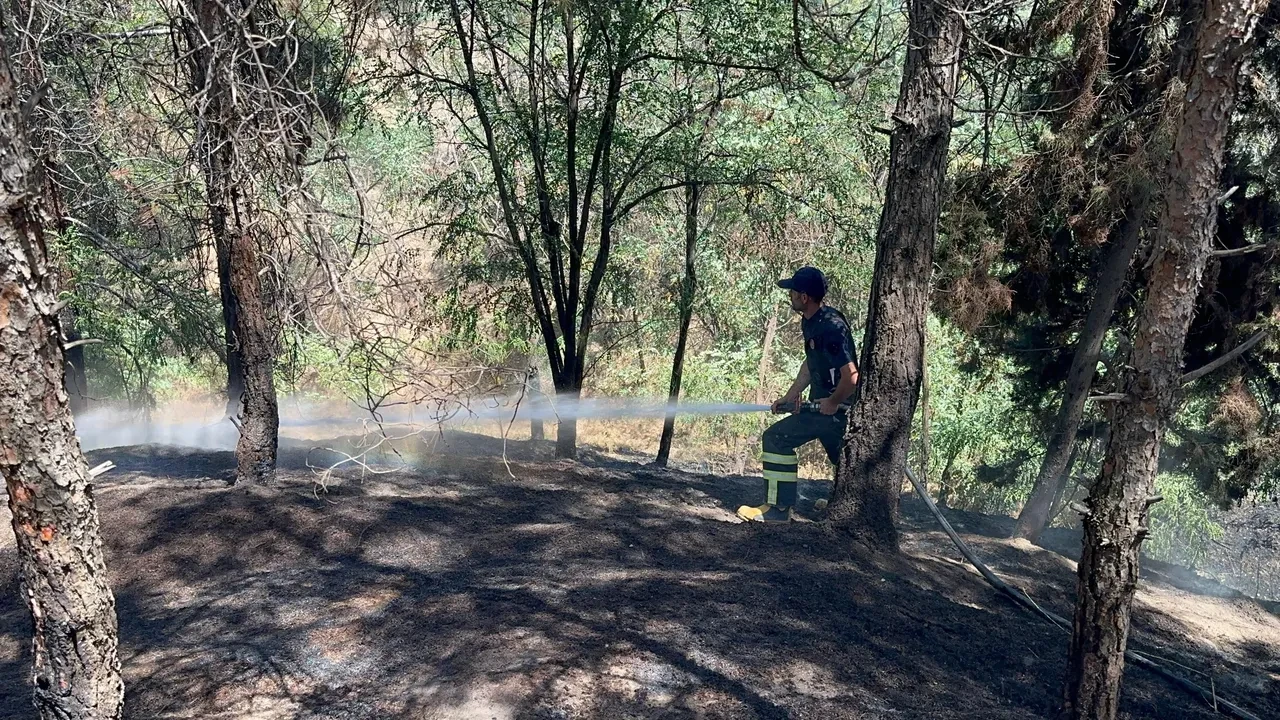 Çakmakla oyun oynarken ormanda yangın çıkardılar