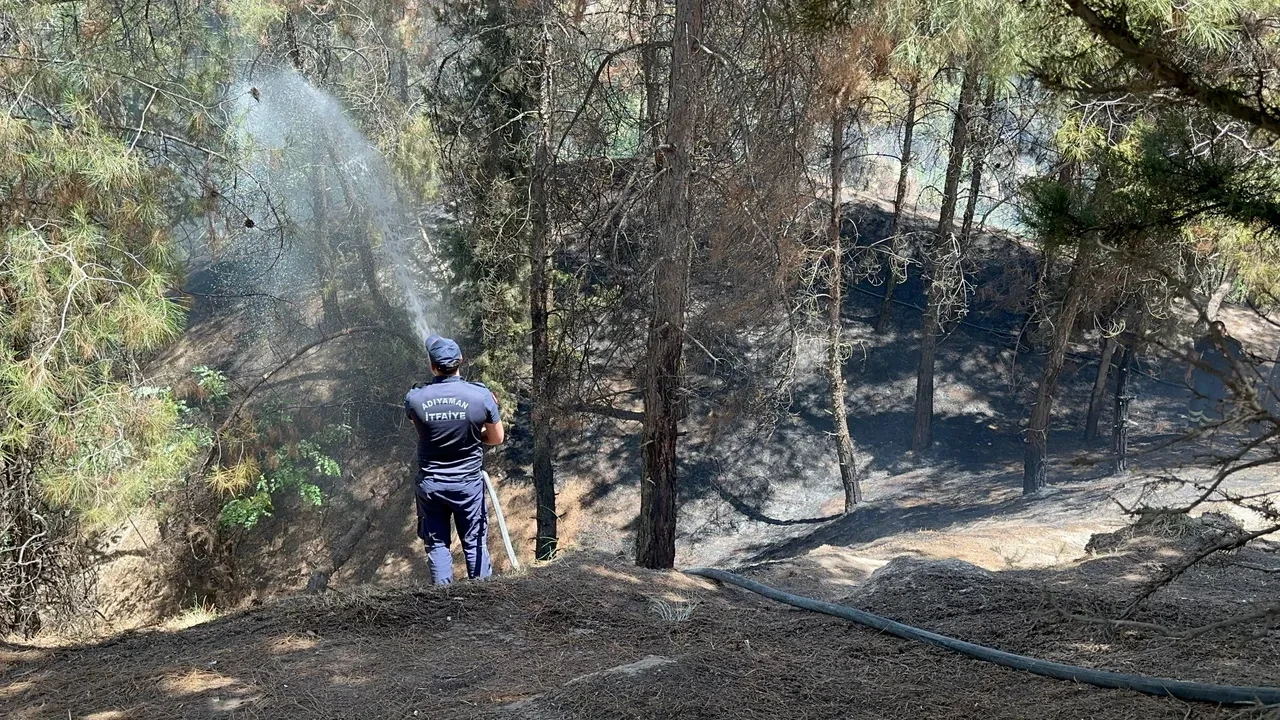 Çakmakla oyun oynarken ormanda yangın çıkardılar