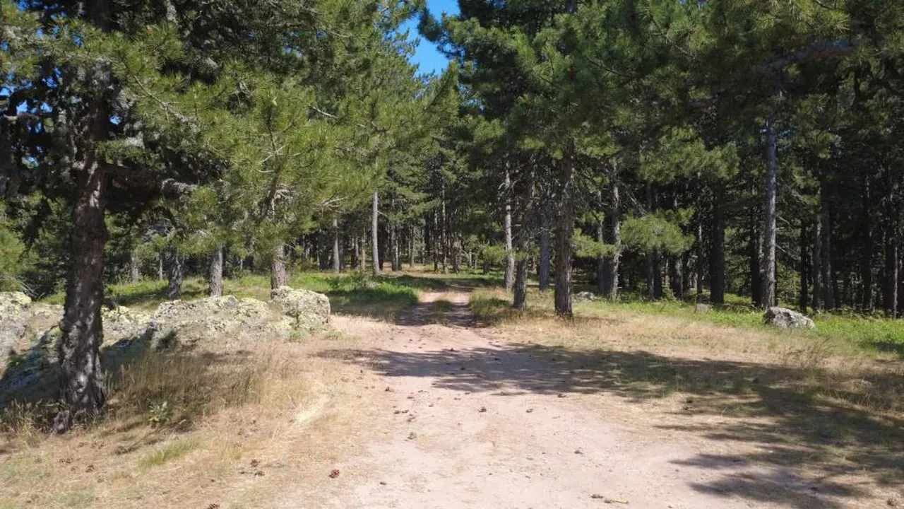 Gelin Uçtu artık tescilli!